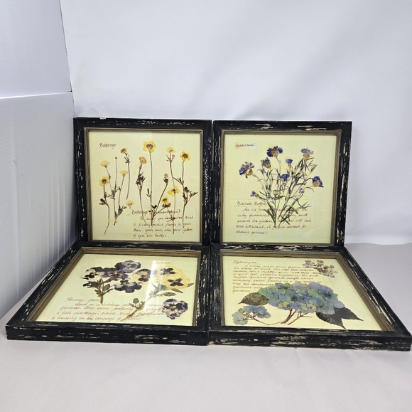 Creative Co-op Set Of 4 Beautifully Handcrafted  Floral Manuscripts Of Flowers - Picture 1 of 10